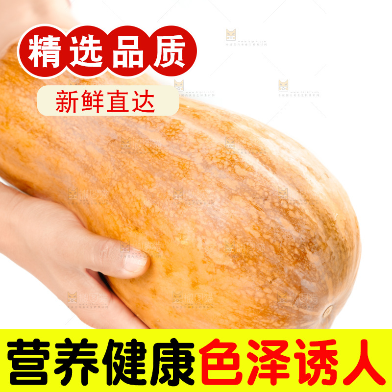 白底上的老南瓜