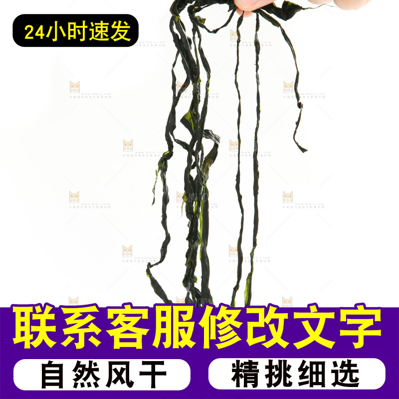 白底上的裙带菜