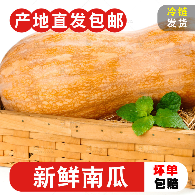 白底上的老南瓜