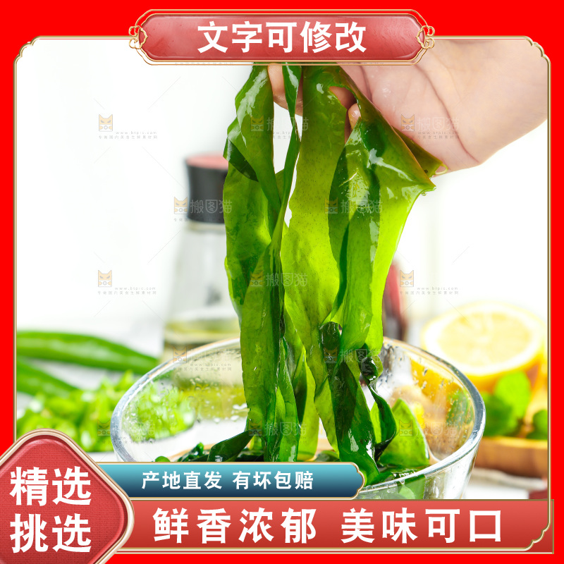 浅底上的裙带菜