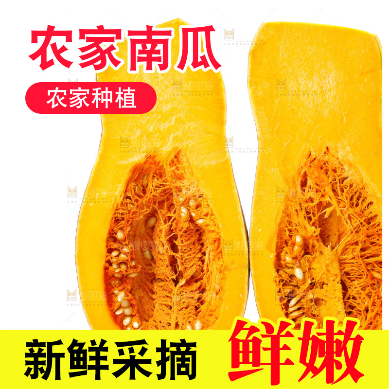 白底上的老南瓜