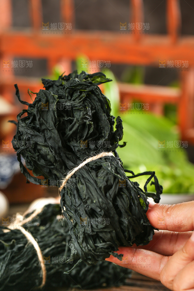 深底上的裙带菜