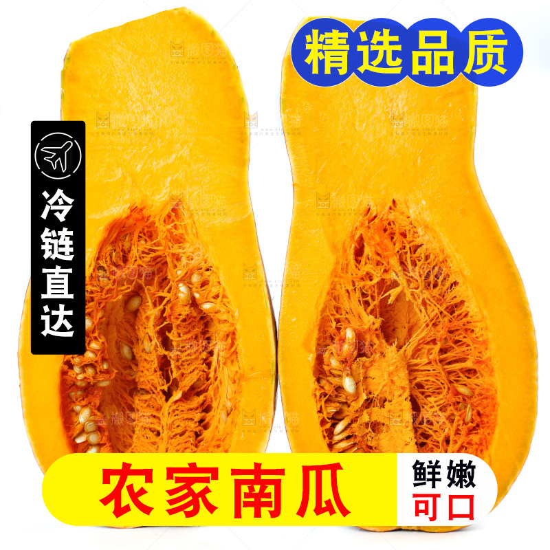 白底上的老南瓜