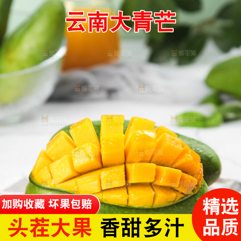 浅底上的新鲜大青芒