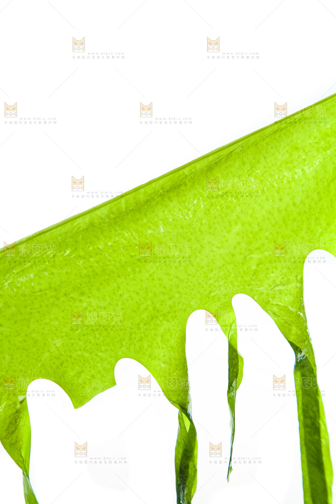 白底上的裙带菜