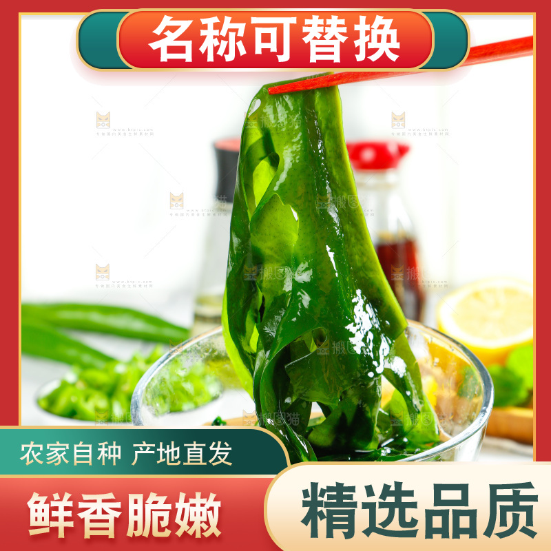 浅底上的裙带菜