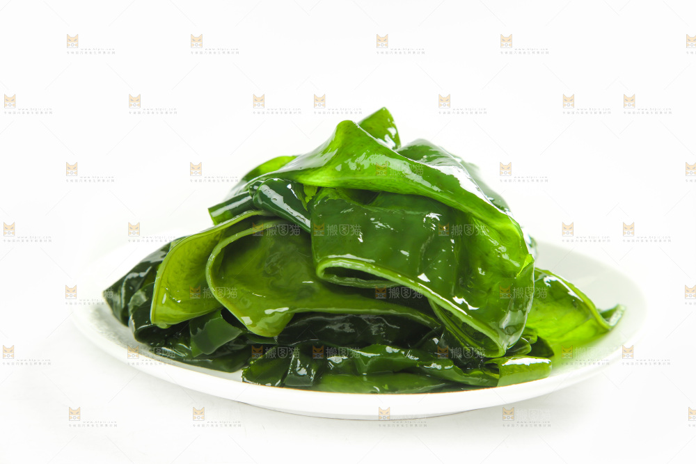 白底上的裙带菜