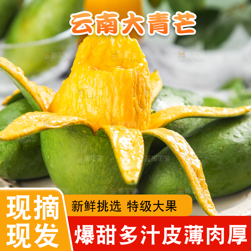 浅底上的新鲜大青芒