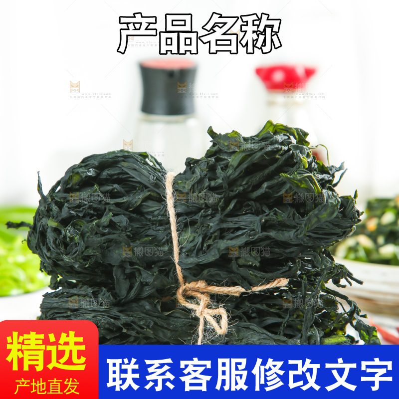浅底上的裙带菜