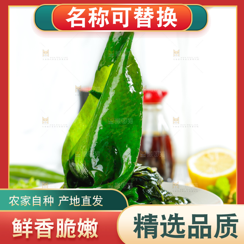 浅底上的裙带菜