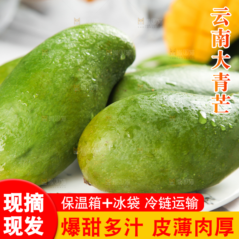 浅底上的新鲜大青芒