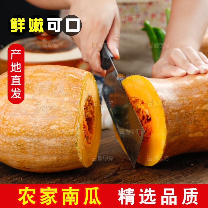 深底上的老南瓜