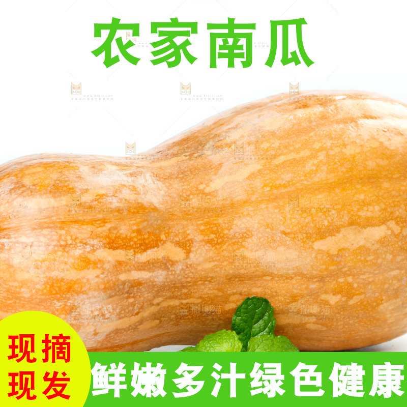 白底上的老南瓜