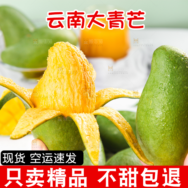 浅底上的新鲜大青芒