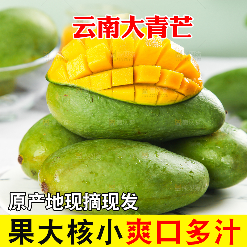 浅底上的新鲜大青芒
