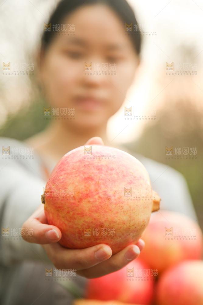 手里拿着突尼斯石榴