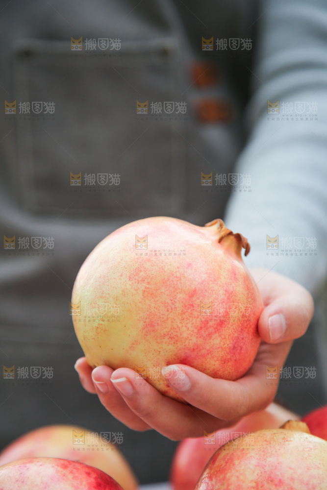 手里拿着突尼斯石榴