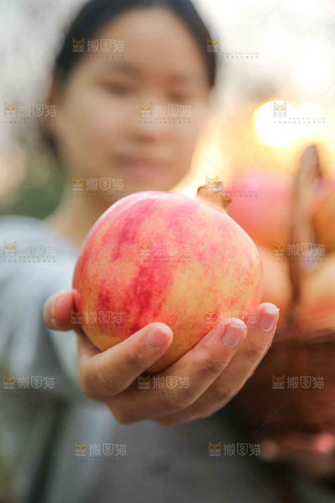 手里拿着突尼斯石榴