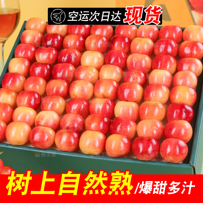 浅底上的黄金车厘子