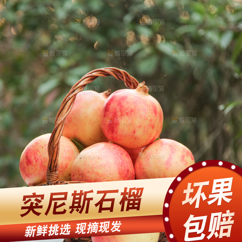 手里拿着突尼斯石榴