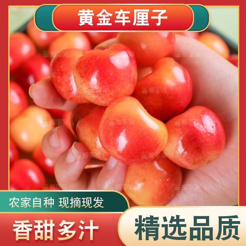 浅底上的黄金车厘子