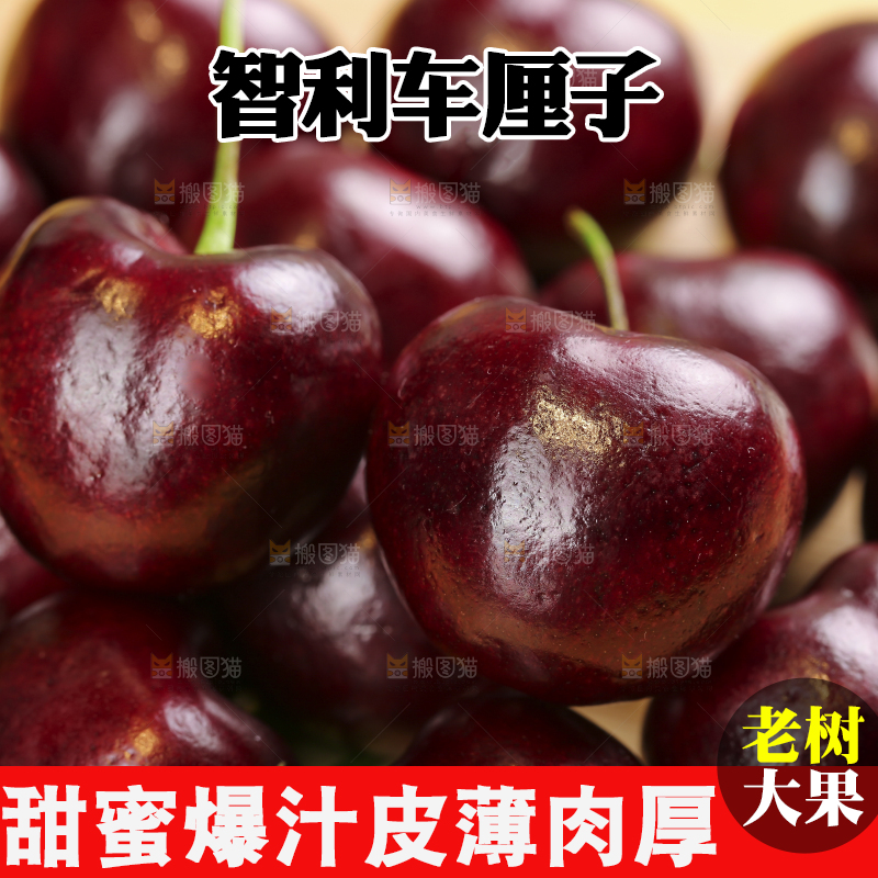 浅底上的智利车厘子