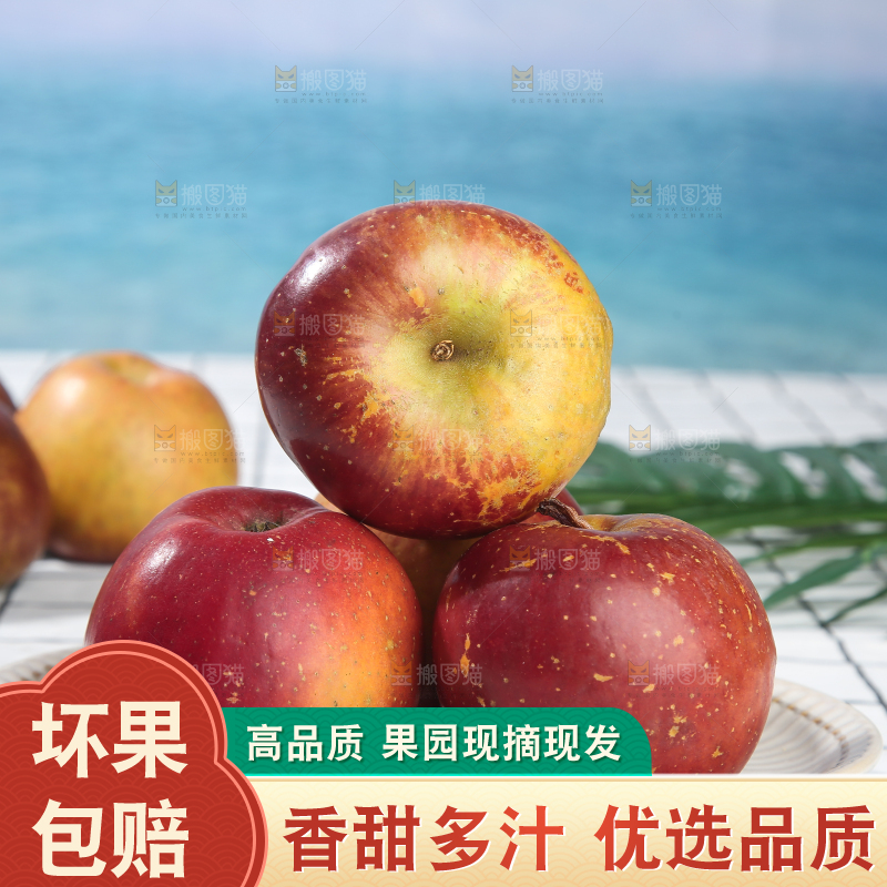 浅底上的昭通丑苹果