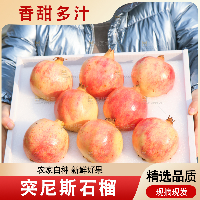 手里拿着突尼斯石榴