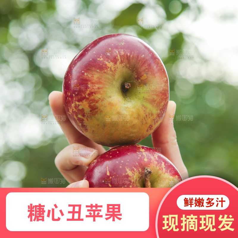 手里拿着昭通丑苹果