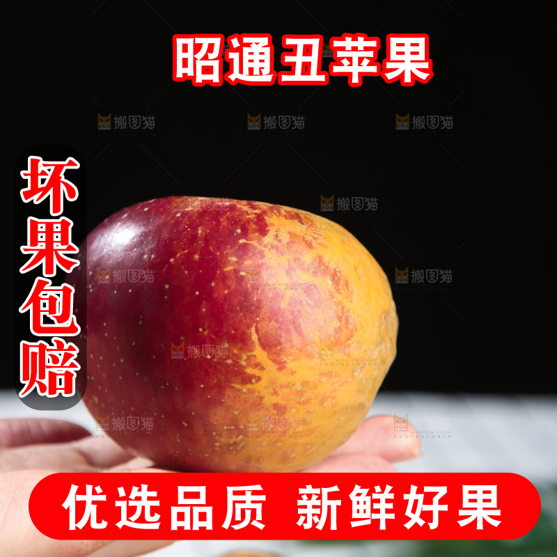 浅底上的昭通丑苹果
