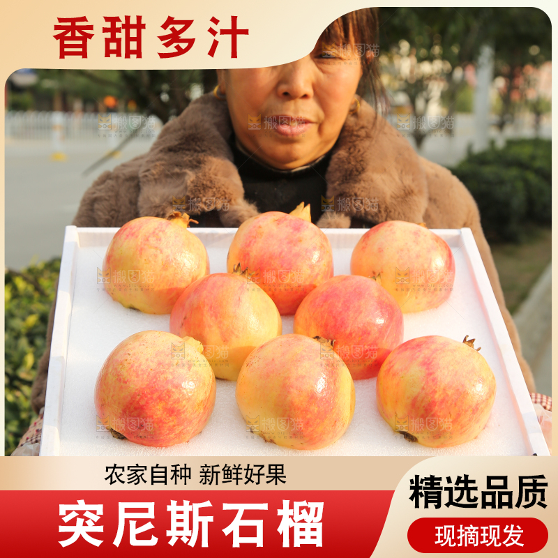 手里拿着突尼斯石榴