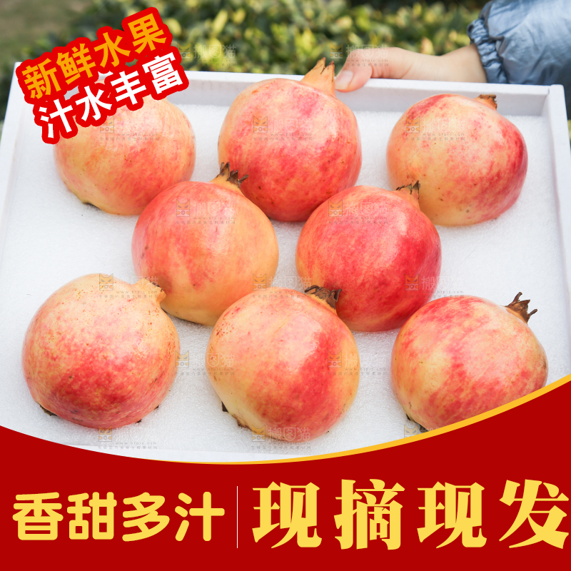 手里拿着突尼斯石榴