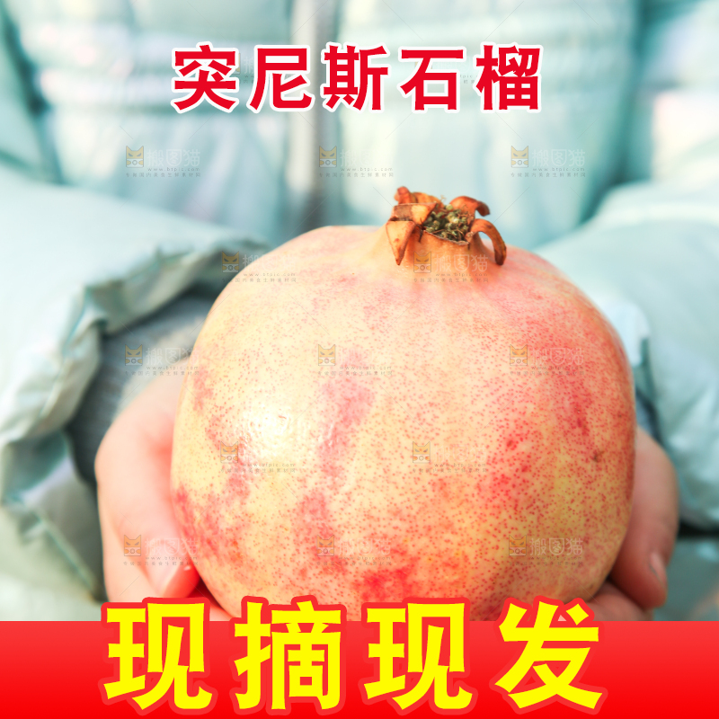手里拿着突尼斯石榴