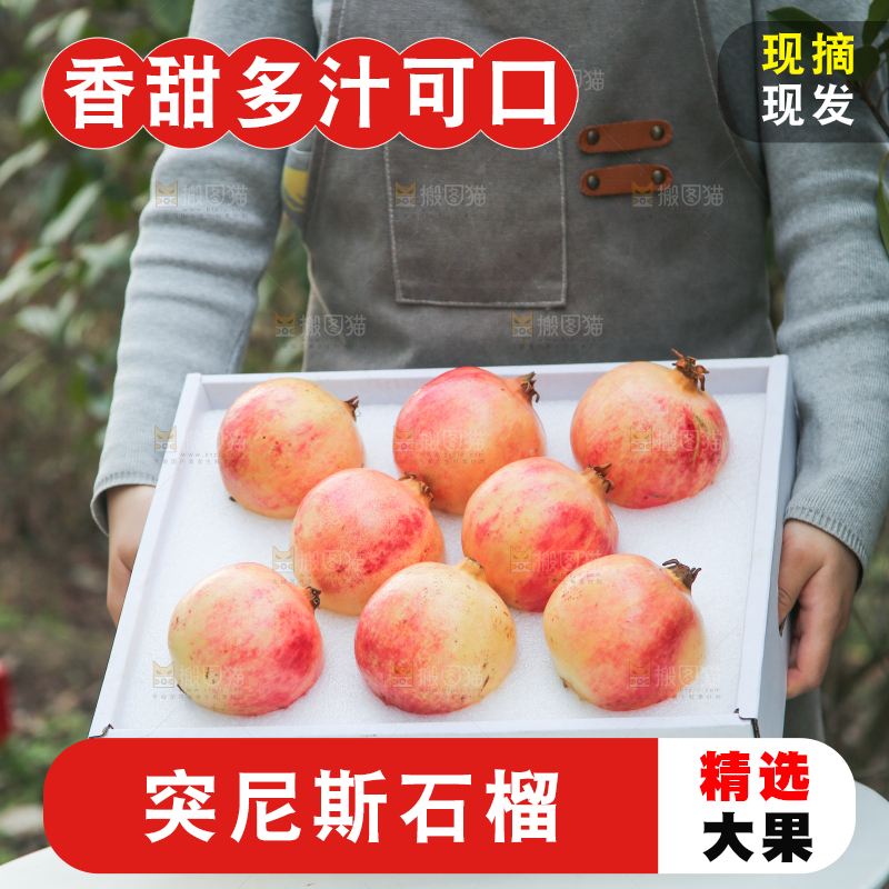 手里拿着突尼斯石榴
