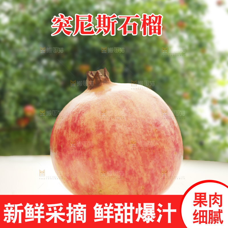 手里拿着突尼斯石榴