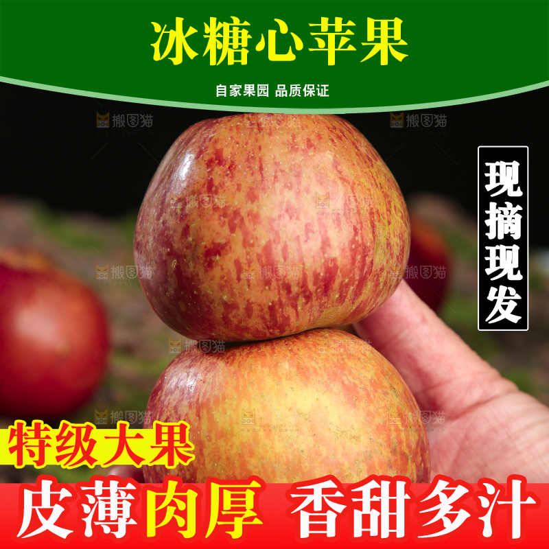 手里拿着昭通丑苹果