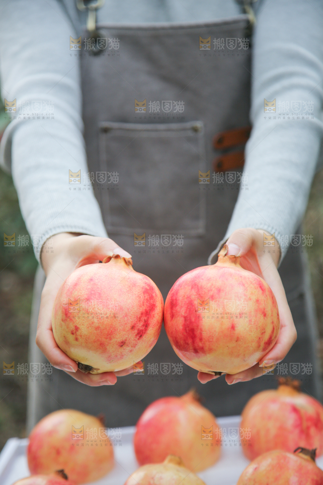 手里拿着突尼斯石榴