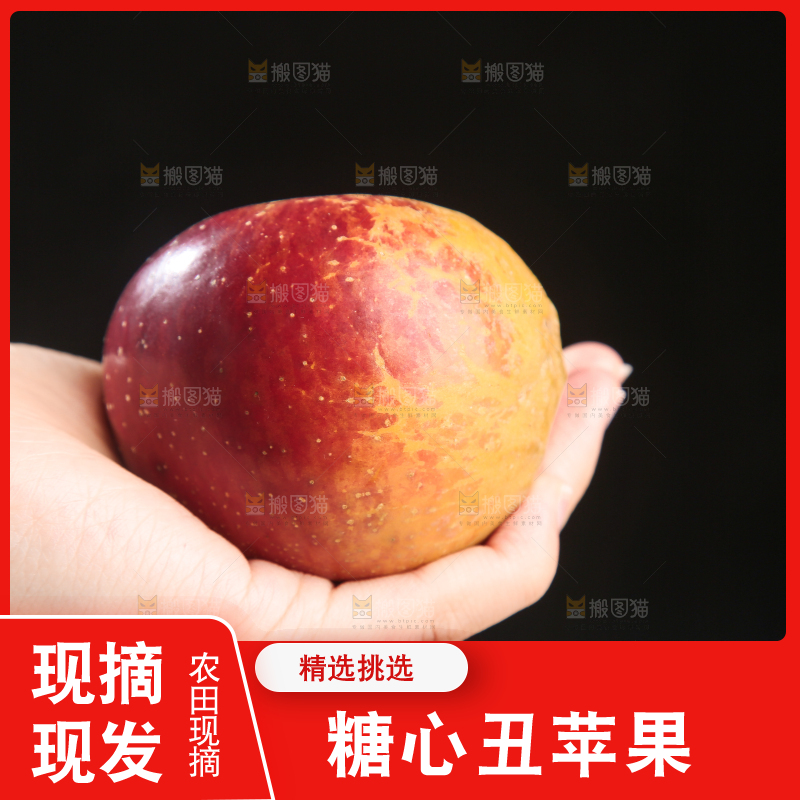 浅底上的昭通丑苹果