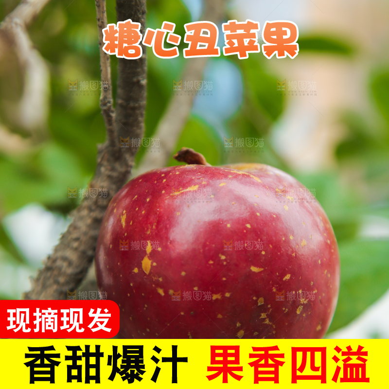 手里拿着昭通丑苹果