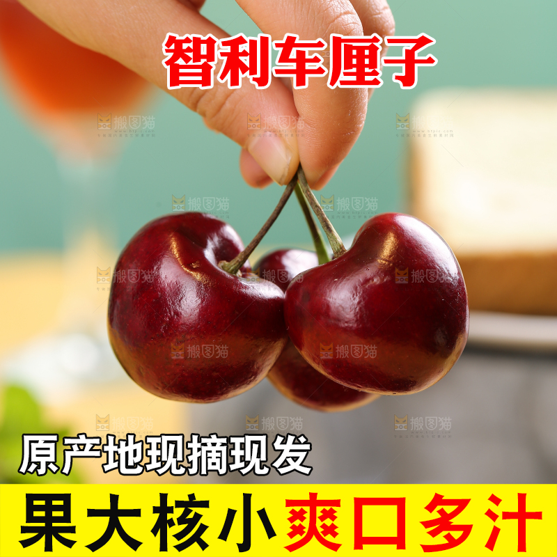 浅底上的智利车厘子