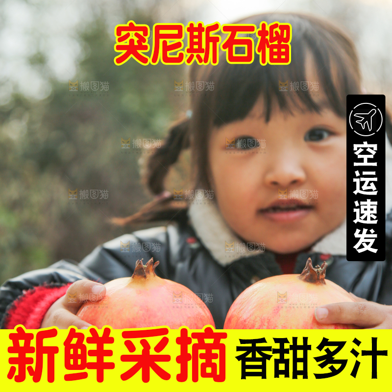 手里拿着突尼斯石榴