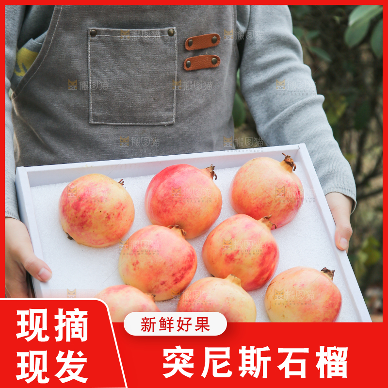手里拿着突尼斯石榴