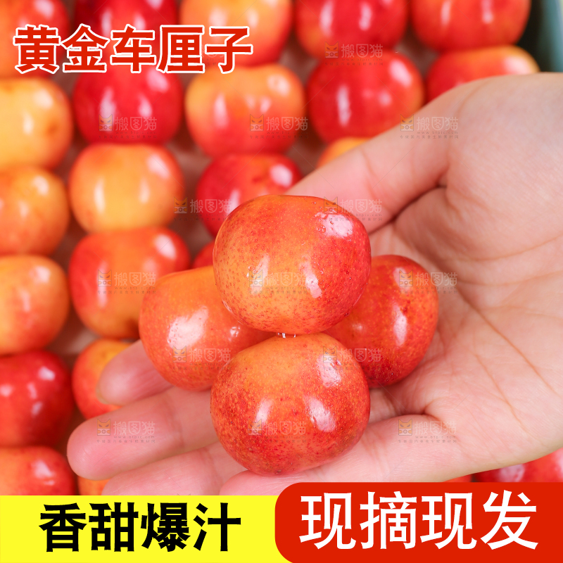 浅底上的黄金车厘子