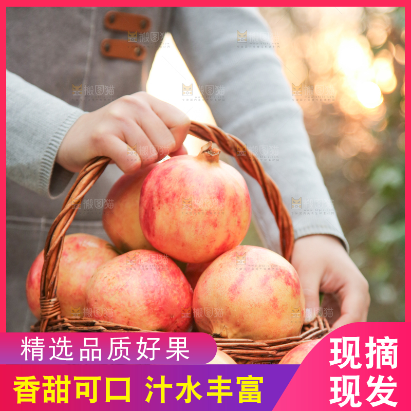 手里拿着突尼斯石榴