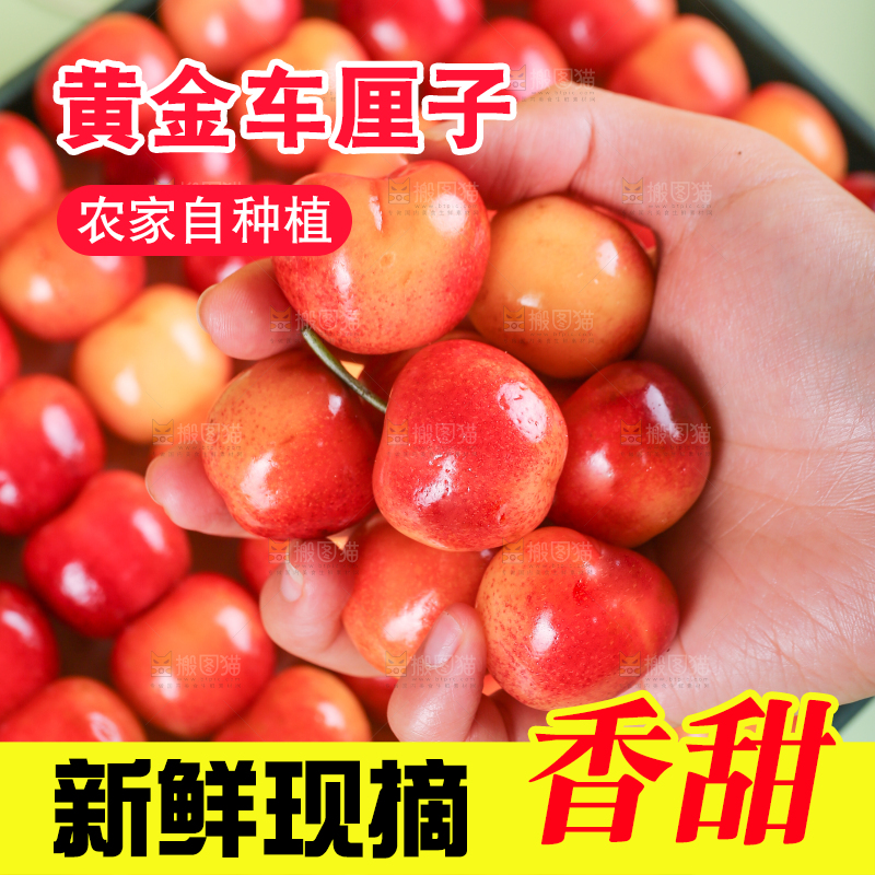 浅底上的黄金车厘子