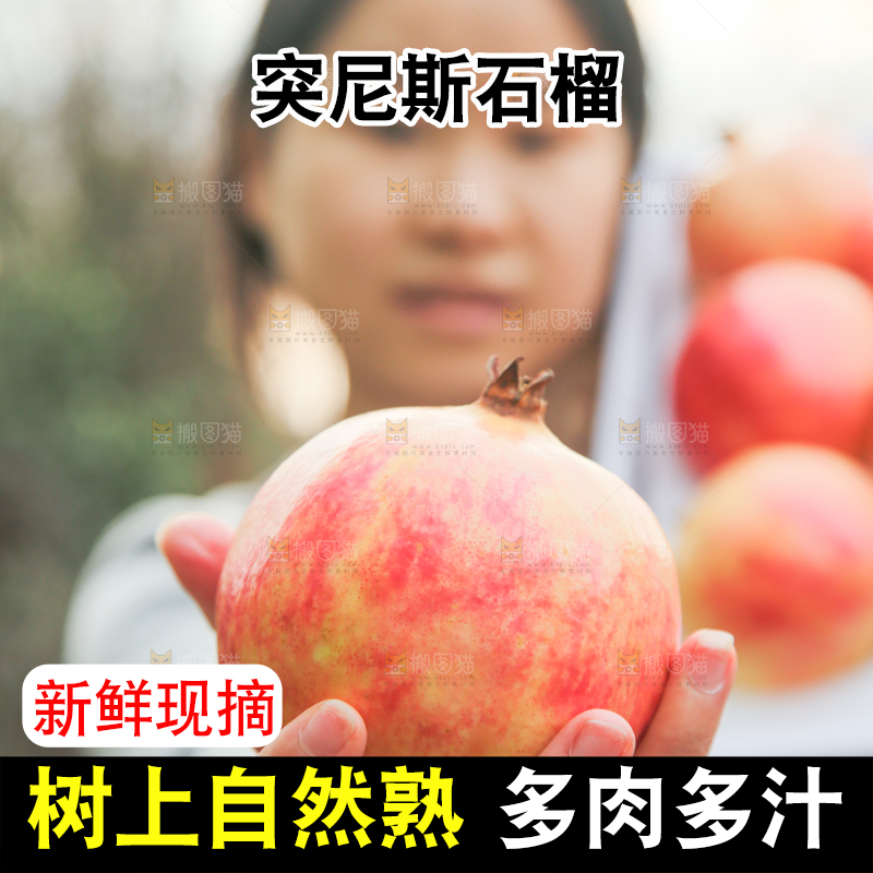 手里拿着突尼斯石榴