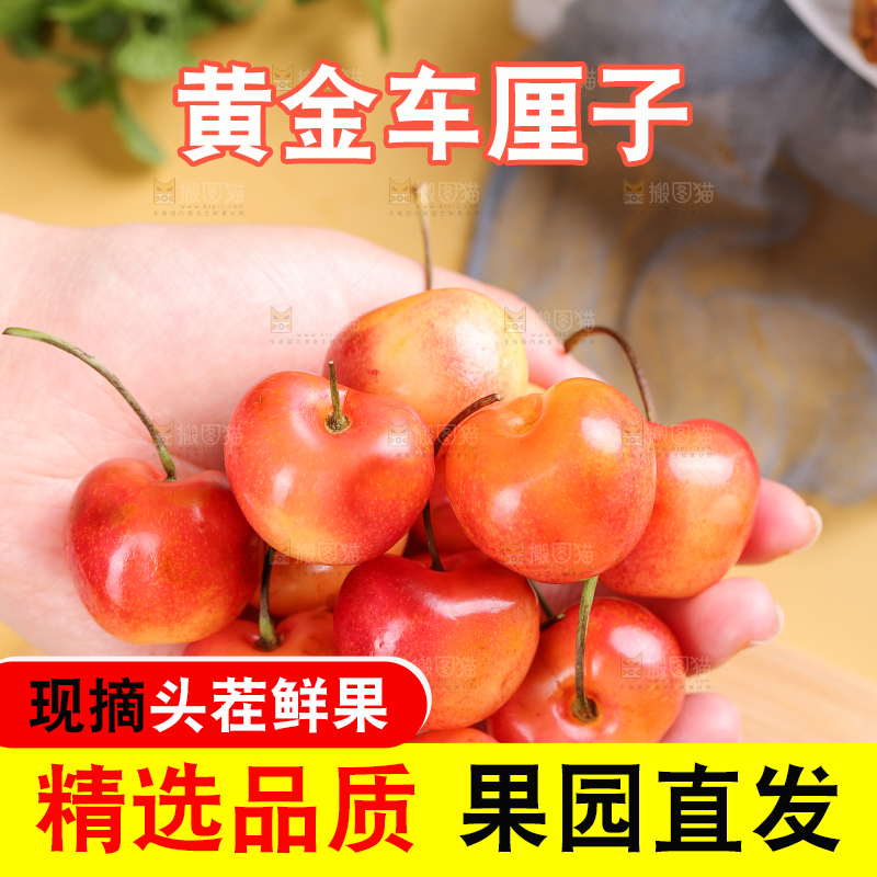 浅底上的黄金车厘子