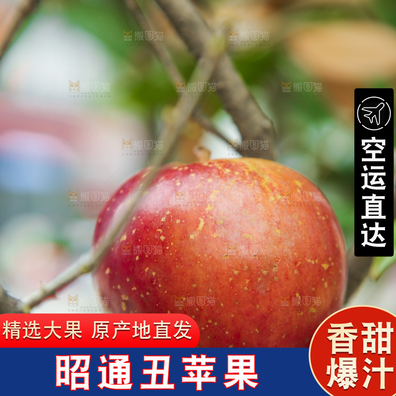 手里拿着昭通丑苹果