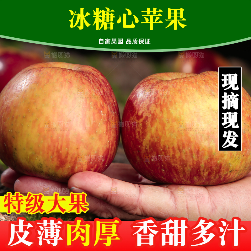 手里拿着昭通丑苹果