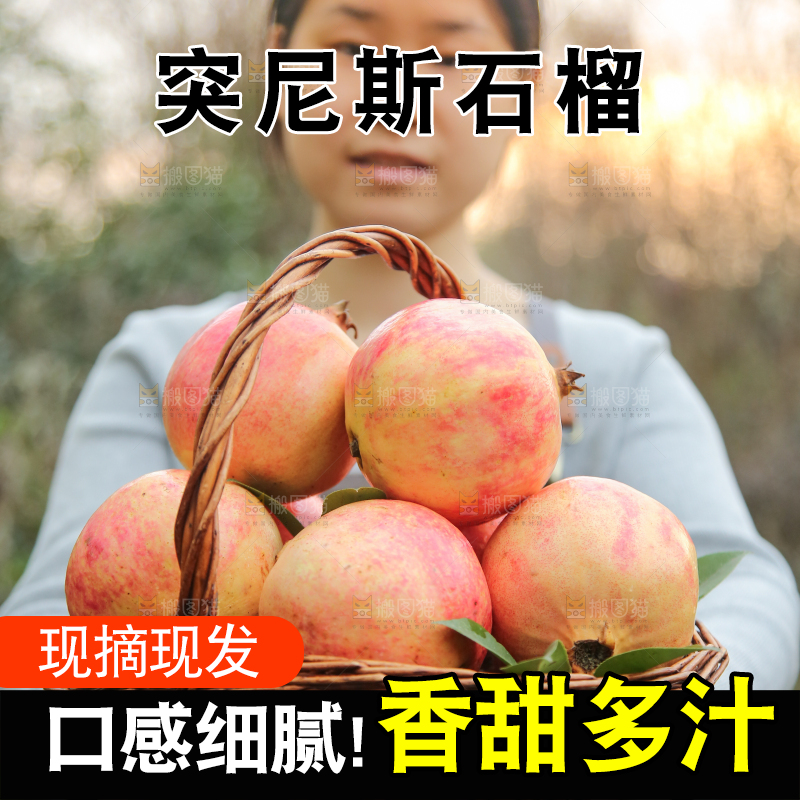 手里拿着突尼斯石榴